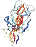 Celebrolysin 60mg Research Compound