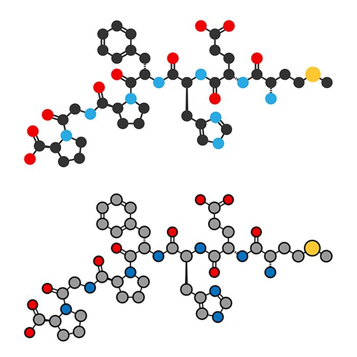 Semax 5mg Research Compound